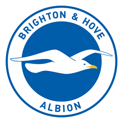 Bighton___Hove_Albion_logo